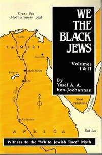 bokomslag We the Black Jews