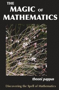 bokomslag The Magic of Mathematics