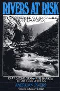 bokomslag Rivers at Risk
