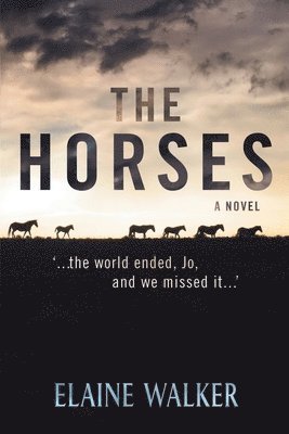 Elaine Walker - Horses, Häftad