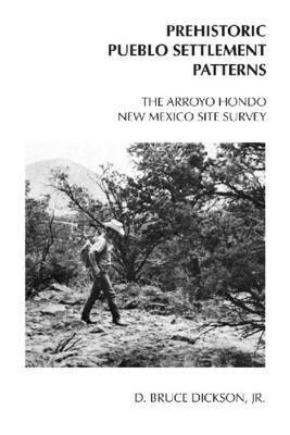 D. Bruce Dickson Jr, D. Bruce Dickson - Arroyo Hondo New Mexico Site Survey, Häftad