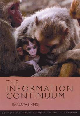 bokomslag The Information Continuum