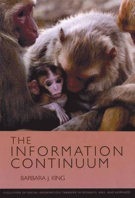 Barbara J. King, Barbara J King - Information Continuum, Häftad