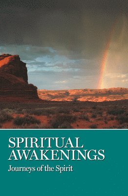 bokomslag Spiritual Awakenings