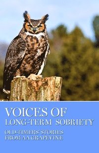 bokomslag Voices of Long-Term Sobriety