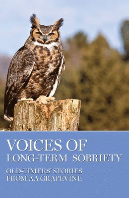 bokomslag Voices of Long-Term Sobriety