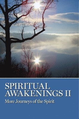 Spiritual Awakenings II 1