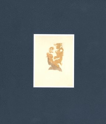 Lorna Simpson: Works on Paper, Inbunden. Tillgänglighet: Tillfälligt slut