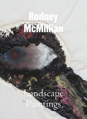 Rodney McMillian, Inbunden
