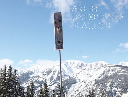 Art in Unexpected Places II, Inbunden