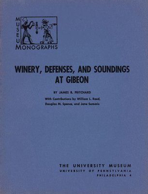 bokomslag Winery, Defenses, and Soundings at Gibeon