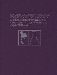 bokomslag Ban Chiang, Northeast Thailand, Volume 2D