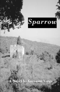 bokomslag Sparrow : A Novel