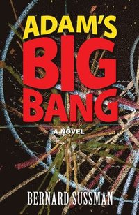 bokomslag Adam's Big Bang