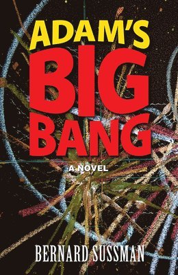 bokomslag Adam's Big Bang