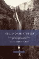 bokomslag New Norse Studies