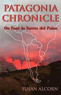 bokomslag Patagonia Chronicle