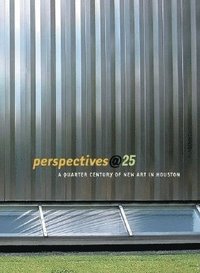 bokomslag Perspectives@25