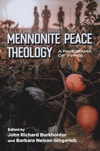 bokomslag Mennonite Peace Theology