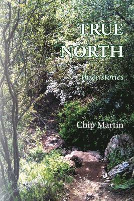True North