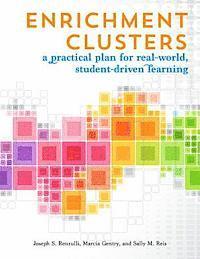 Ed D Renzulli, Joseph, Marcia Gentry, Sally M Reis - Enrichment Clusters, Häftad