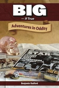 bokomslag Big-If True: Adventures in Oddity