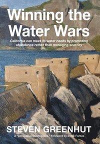 bokomslag Winning the Water Wars