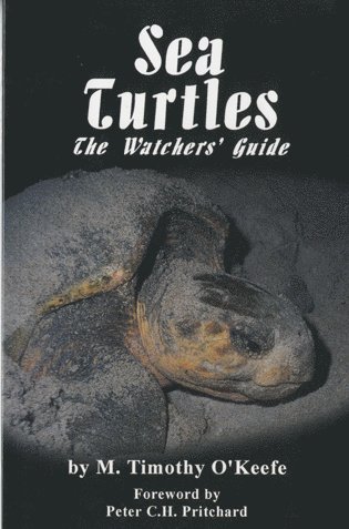 bokomslag Sea Turtles