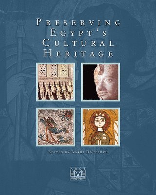 bokomslag Preserving Egypt's Cultural Heritage
