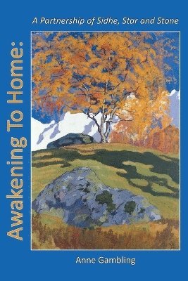 bokomslag Awakening To Home