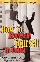 Gary Zeidwig - How to Represent Yourself in Court, Häftad