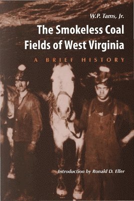 bokomslag Smokeless Coal Fields of West Virginia