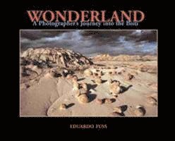 Wonderland: A Photographer's Journey Into the Bisti