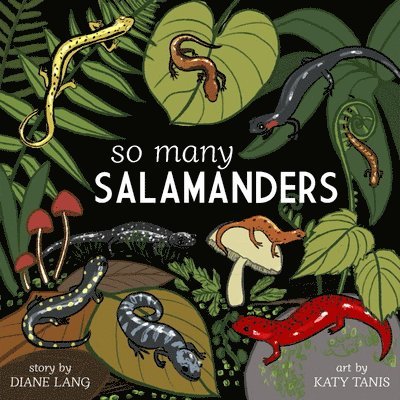 So Many Salamanders