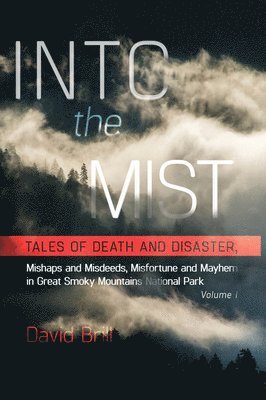 Into the Mist 1