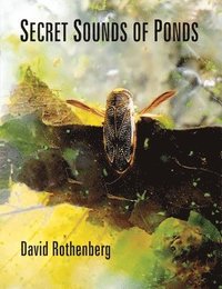 bokomslag Secret Sounds of Ponds