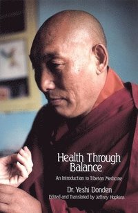 bokomslag Health Through Balance