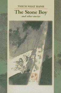 bokomslag The Stone Boy and Other Stories