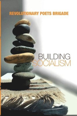 bokomslag Building Socialism