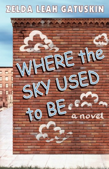 Zelda Leah Gatuskin - Where the Sky Used to Be, Häftad