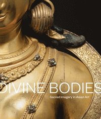 bokomslag Divine Bodies