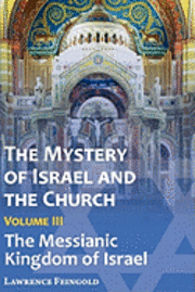 bokomslag The Mystery of Israel and the Church, Vol. 3