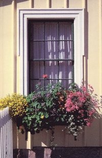 bokomslag Window Box Journal