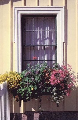 Window Box Journal 1