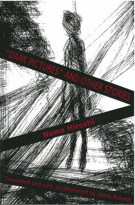 bokomslag Dark Pictures&quot;&quot; and Other Stories