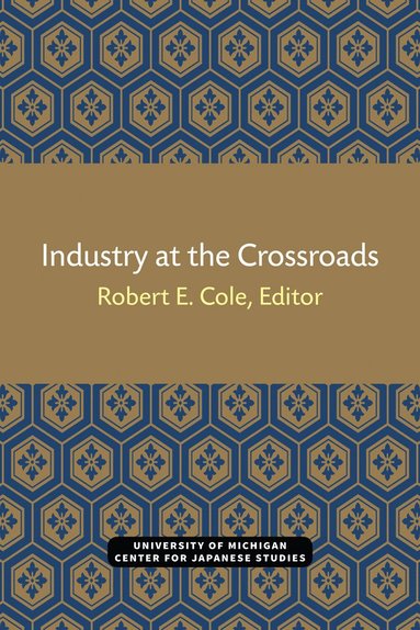bokomslag Industry at the Crossroads
