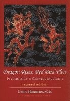 bokomslag Dragon Rises, Red Bird Flies: Psychology & Chinese Medicine (Revised Ed)