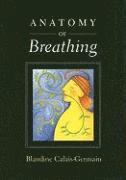 bokomslag Anatomy of Breathing