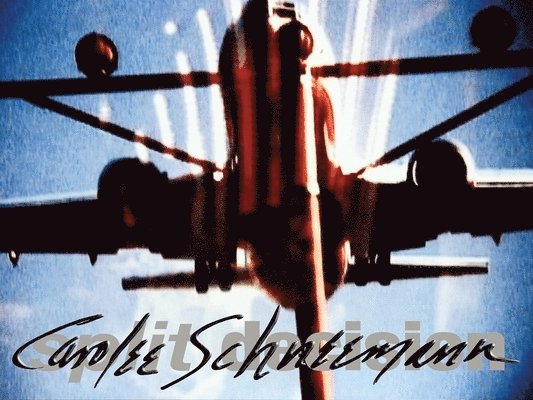 Carolee Schneemann: Split Decision 1