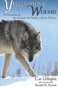 bokomslag Yellowstone Wolves